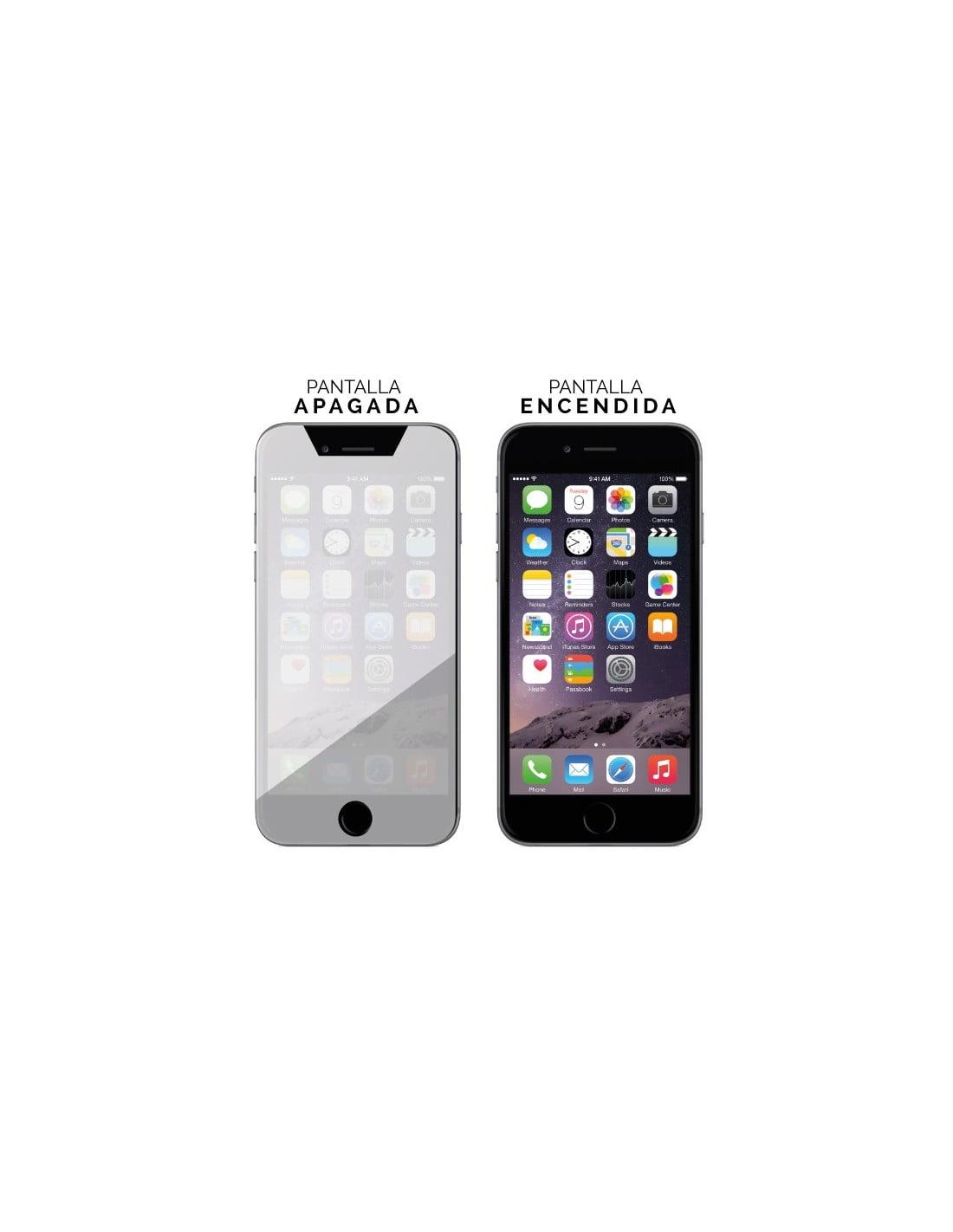 * Bikuid : Colour Tempered Glass - Samsung Galaxy S6 - plata